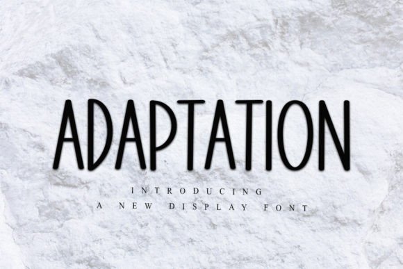 Adaptation: A Display Font Blending Elegance with Creative Flair